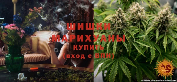 шишки Алексеевка