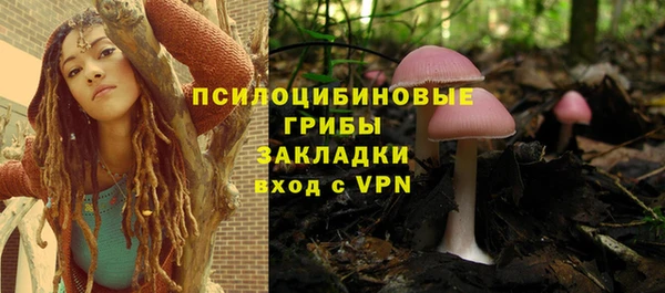 a pvp Алзамай