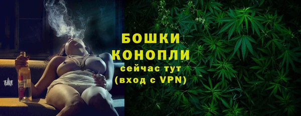 шишки Алексеевка