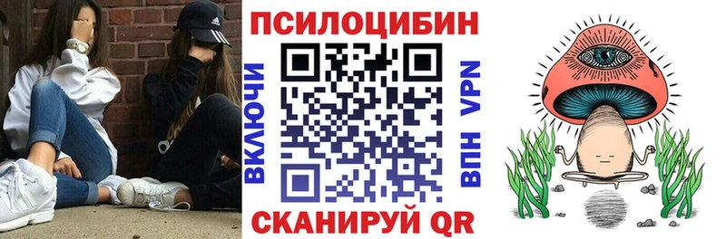 Купить где  Истра  Псилоцибиновые грибы GOLDEN TEACHER 